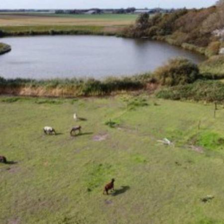 B&B Hoeve Dijkstal Logeren Op De Boerderij Sint Maarten Eksteriør bilde