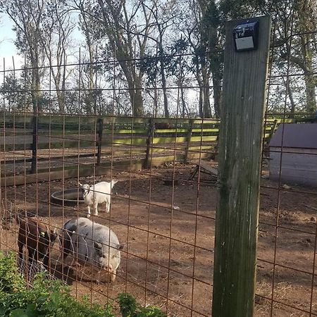 B&B Hoeve Dijkstal Logeren Op De Boerderij Sint Maarten Eksteriør bilde