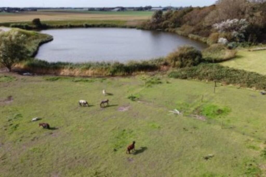 B&B Hoeve Dijkstal Logeren Op De Boerderij Sint Maarten Eksteriør bilde